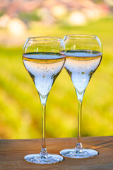 Tasting of premier cru sparkling white wine with bubbles champagne with view on green pinot noir,...