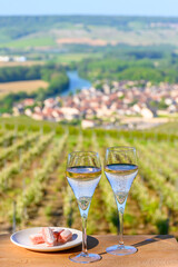 Tasting of premier cru sparkling rose wine with bubbles champagne with view on green pinot noir,...