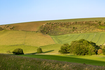 Green fields in the South Downs with a blue sky overhead