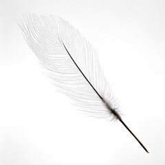 feather on white background, images freeze the motion, allowing you to witness the grace and elegance of a feather suspended in air