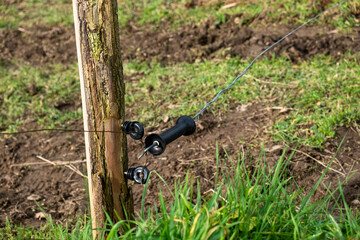 Wire fence under electricity for animals. Farming, cattle breeding in rural areas. Protection from animals from escape
