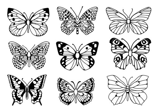 Butterflies SVG Bundle, Outline vector designs