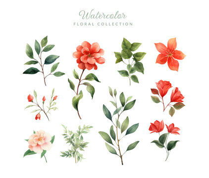 Watercolor floral vector set. Red flowers, leaves, bouquets,branches, herbs and other natural elements. Hand drawn wedding invitation bouquet decoration set