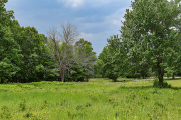 storm clouds over hanks meadows