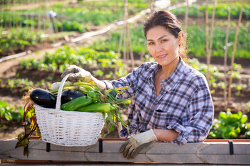 Fototapeta premium Kazakh woman in vegetable garden basket of harvest