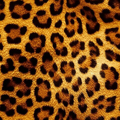 Animal Print Pattern