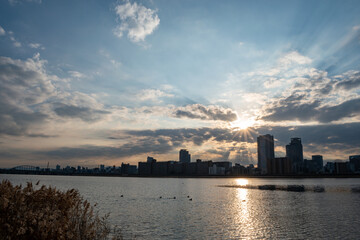 View of riverside with a blue sky, some plants, ducks and Umeda city in the background (Umeda, Osaka, Japan) (20230607-008)