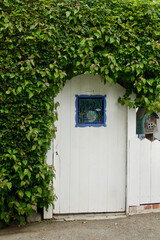 white wood garden gate hidden by overgrown ivy covered wall