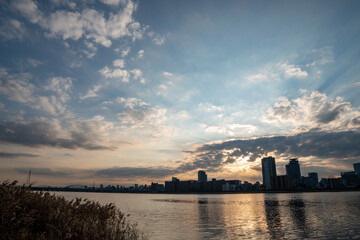 View of riverside with a blue sky, some plants and Umeda city in the background (Umeda, Osaka, Japan) (20230607-001)