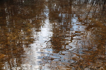 reflection in water