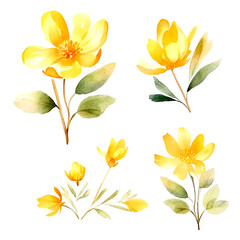 Obraz premium Set of yellow gold floral watecolor. flowers and leaves. Floral poster, invitation floral. Vector arrangements for greeting card or invitation design 