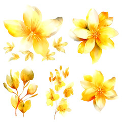 Set of yellow gold floral watecolor. flowers and leaves. Floral poster, invitation floral. Vector arrangements for greeting card or invitation design	