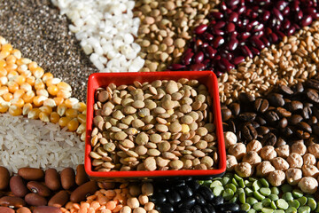 Bowl with raw white lentils on various seeds grain