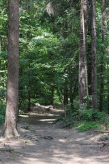 Hiking in the forest at Hocking Hills in southern Ohio. 