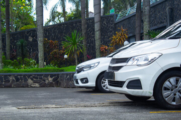 front view of white hatchback cars parked in a row under palm trees with green grass