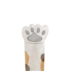 Cat foot