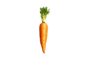 carrot