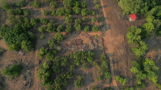 wood cutting place in village malvan drone shoot