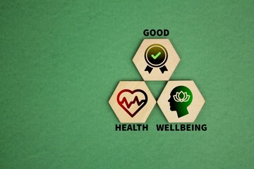 three icons of sustainable development which are good, health, well-being. the concept of health...