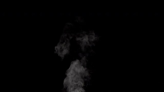 White smoke,steam on a black background.
Slow motion. Shot in 4K resolution at 120fps.