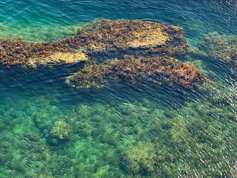 Sea water clear blue turquoise shiny surface with algae aerial view.