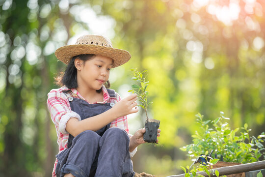 Cute little child girl with seedlings. volunteering, charity, people and ecology concept - volunteers hands planting tree seedling in park. Asian little girl holding a seedling.