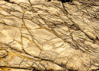 Salt Point State Park rock formation