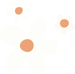 white  Daisy flowers 