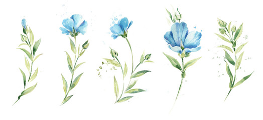 Fototapeta na wymiar Clipart of summer flax flowers. Cute watercolor flowers set.