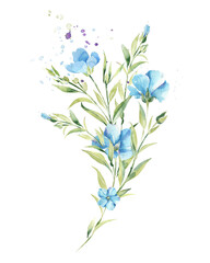 Fototapeta na wymiar Field bouquet of sky blue flowers. Watercolor flower print.
