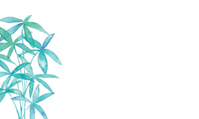 水彩画。水彩タッチで描いたパキラのベクターイラスト。夏の植物背景。Watercolor painting. Vector illustration of pachira with watercolor touch. Summer plant background.