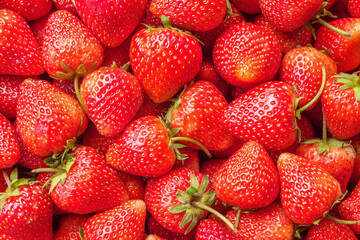 Fresh organic red strawberry fruit background