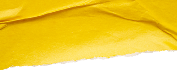 Yellow ripped paper torn edges strips isolated on white background