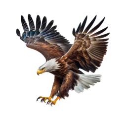 Poster The eagle flies gracefully on white background for project decoration Publications and websites © PNG for U