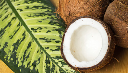 Close up of fresh coconuts