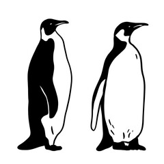 King Penguin Set. Monochrome vector illustration. Realistic polar animal
