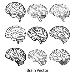 Human Brain on the White Background. Hand Drawn.Vector Illustration. Outline of a brain on the white background