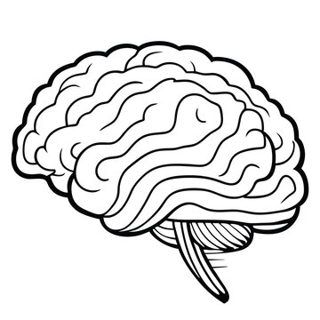 Human Brain on the White Background. Hand Drawn.Vector Illustration. Outline of a brain on the white background