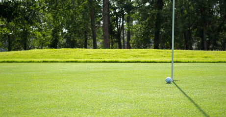 Obraz premium Golf Ball Rolling To The Hole On Golf Course