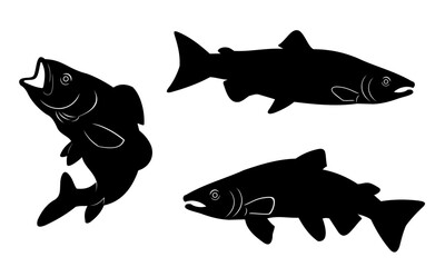 set of salmon vector