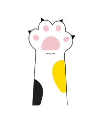 cat paws