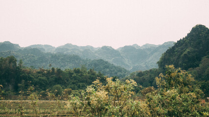 Green fields with luxurious mountain in the background, Thakhek loop, Laos