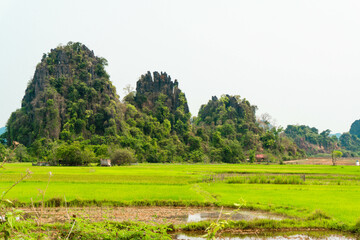 Green fields with luxurious mountain in the background, Thakhek loop, Laos
