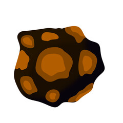 Meteorite
