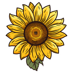 Fototapeta premium Vector yellow sunflower. Sunflower silhouette, Sunflower, isolated on white background, vector illustration.
