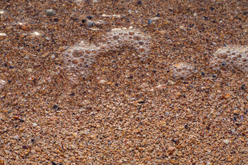 Water edge, bottom and seashore covered with shell sand and water, close-up