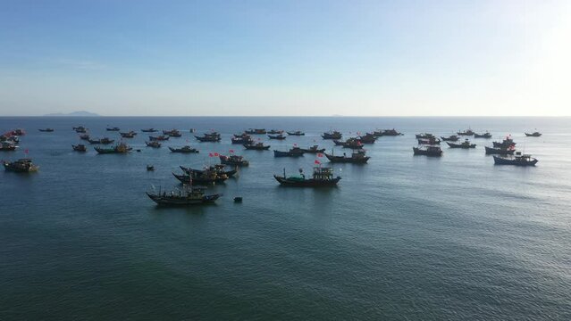 Tam Tien Fish Market - Quang Nam Province The most beautiful fish market in Quang Nam's sea, the fish market on Tam Tien beach in Nui Thanh district, about 15 km from Tam Ky city, is the largest whole