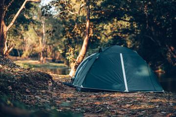 Green tent on the grass in the forest The view behind is the mountain in the morning. Camping,...