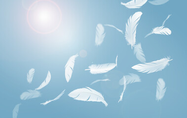 Abstract Group of White Bird Feathers Flying The Sky. Feathers Floating in Heavenly.