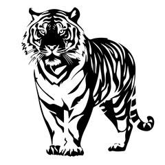 tiger animal images